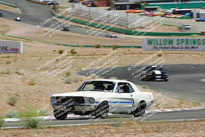 media/May-07-2022-Cobra Owners Club of America (Sat) [[e681d2ddb7]]/White/Session 3 (Turn 3)/